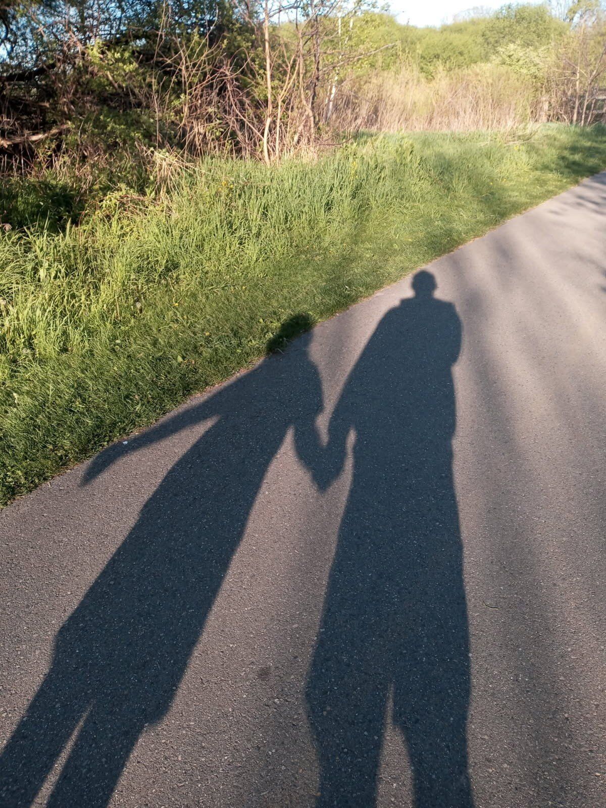 inv-no-death-shadow-investigation.JPG